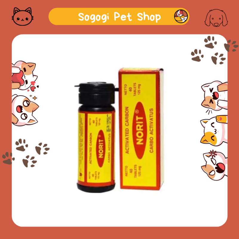 Norit Obat Diare Kucing