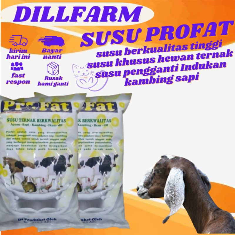 SUSU PROFAT 1KG SUSU PENGGANTI UNTUK ANAK KAMBING DOMBA CEMPE SAPI PEDET AYAM UNGGAS DILLFARM