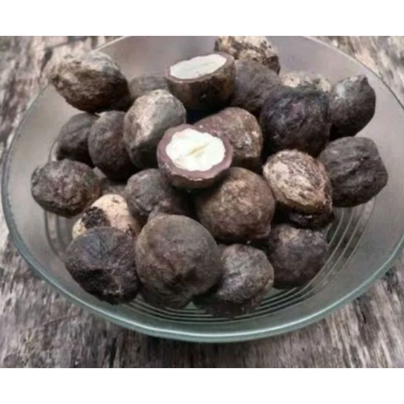 

kemiri batok dengan cangkang