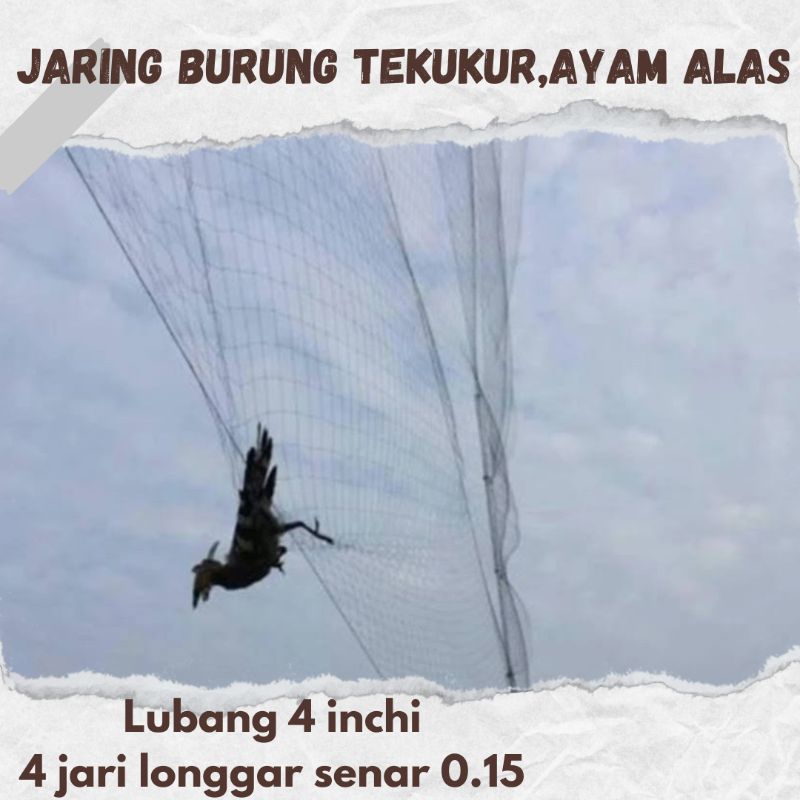 jaring burung hitam ukuran 4 inchi senar 0.15 jaring burung punai deruk derkuku jaring burung besar 
