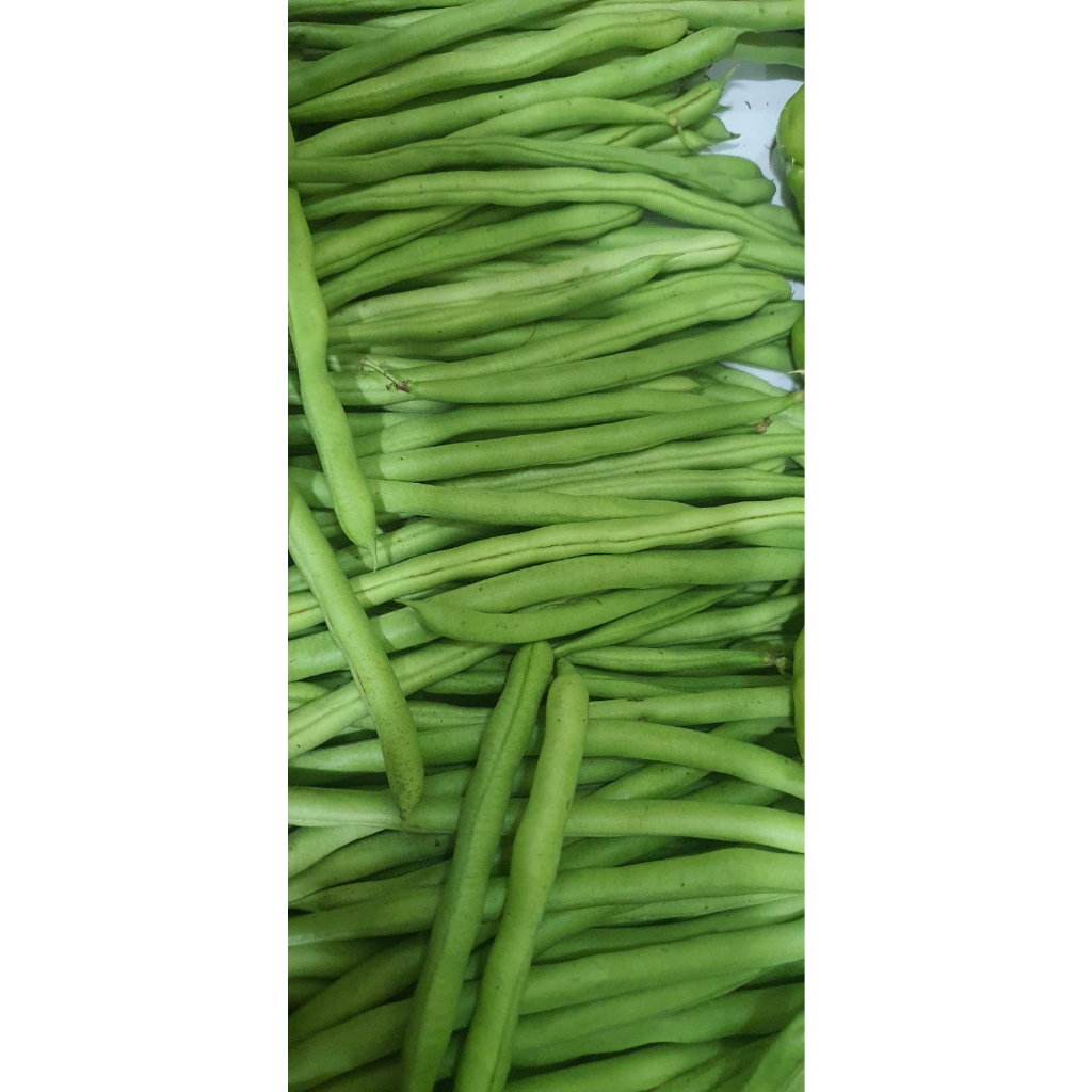 

BUNCIS SEGAR 250 GRAM SAYUR DESI