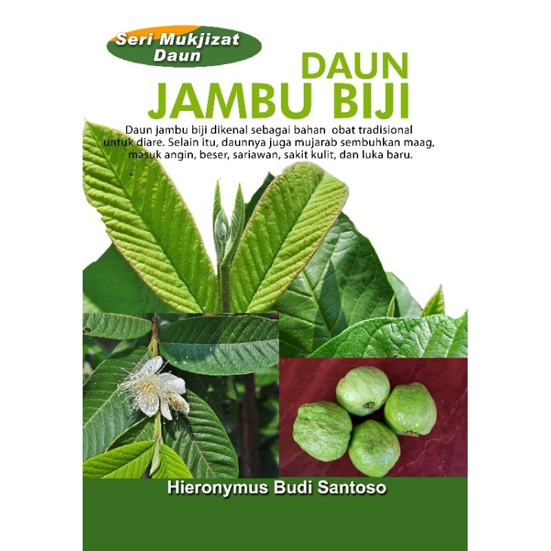 

Daun Jambu segar_daun fresh 10 Lembar