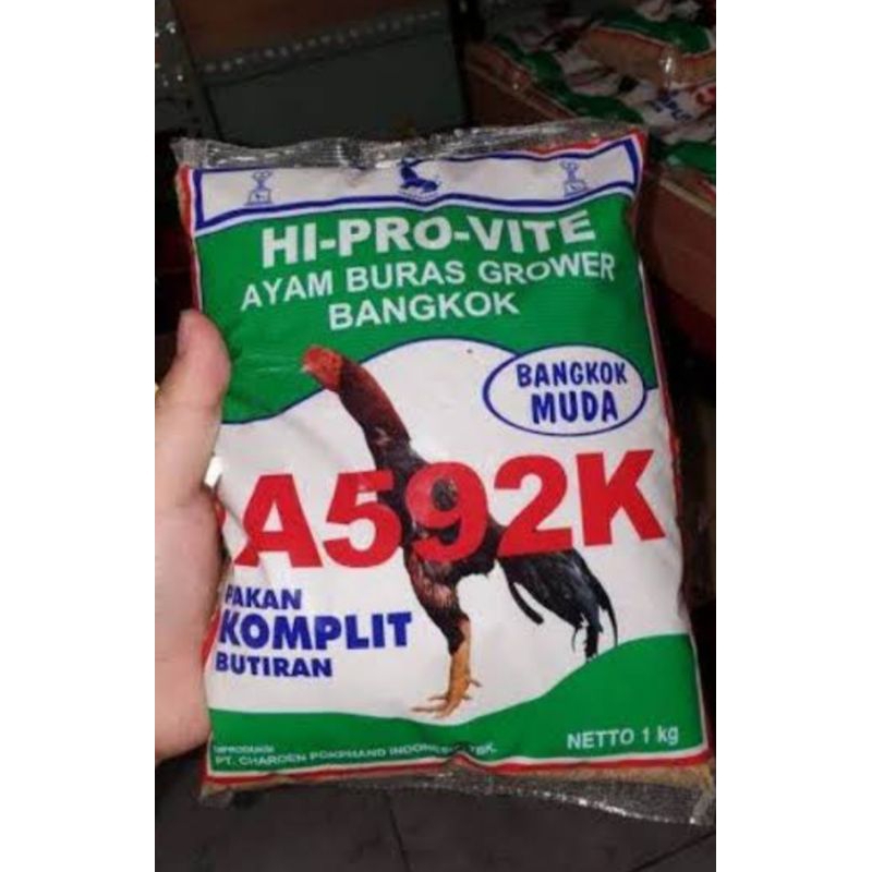 Pur anakan ayam Bangkok A592K