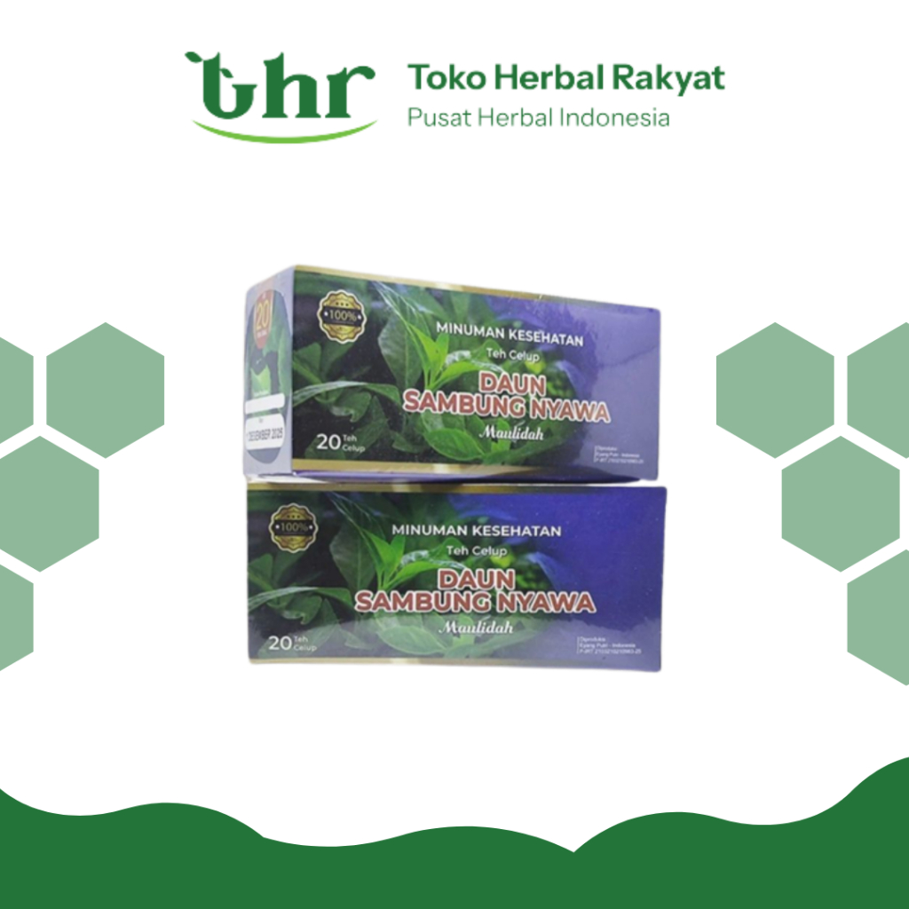 

Teh Celup Daun Sambung Nyawa | Menurunkan panas | mencegah kanker