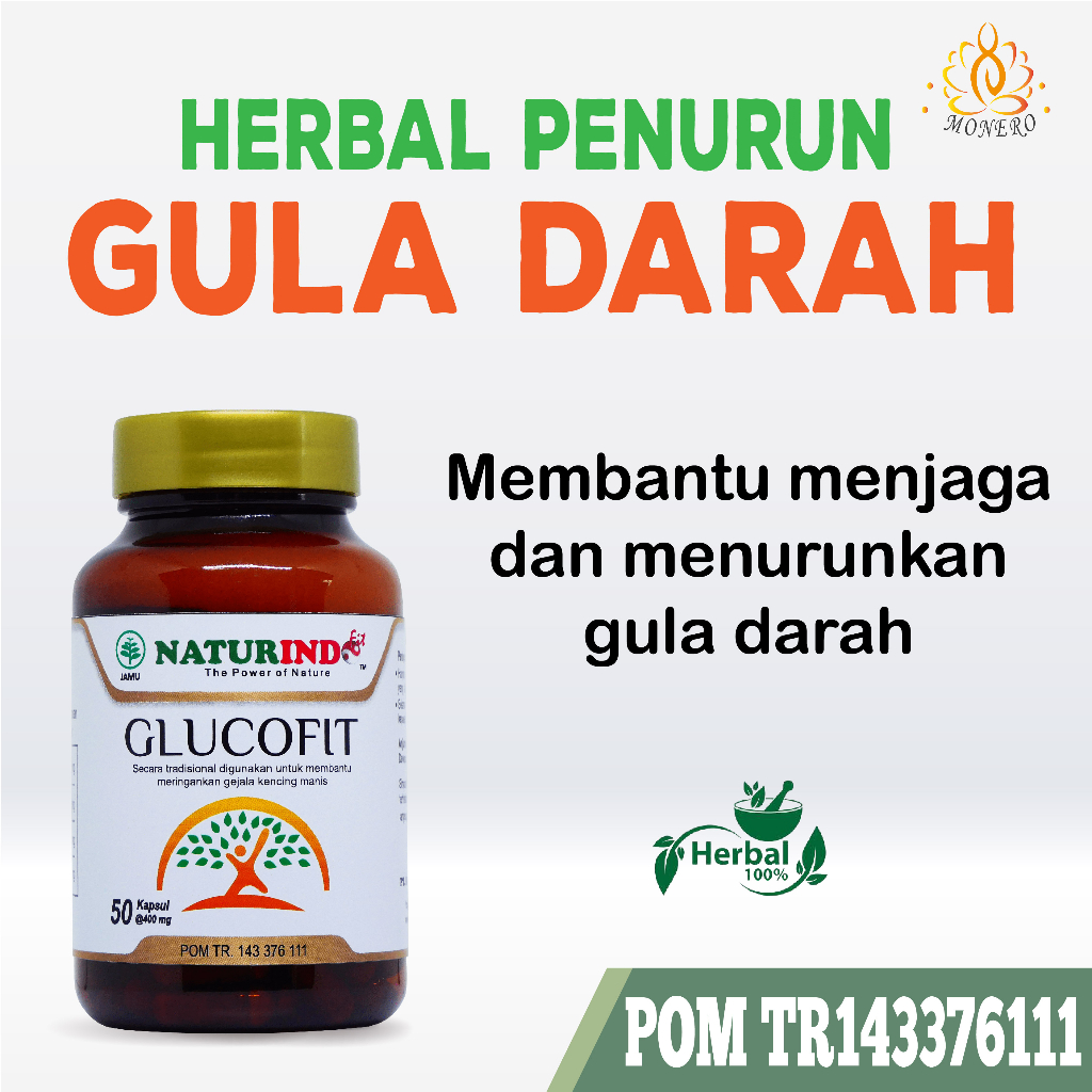 Obat Penurun Gula Darah Tinggi Diabetes Komplikasi Herbal Glucofit Naturindo
