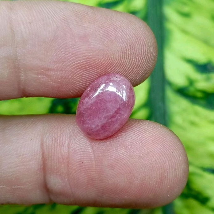 Batu Permata Natural RUBY Daging (4,85crt)