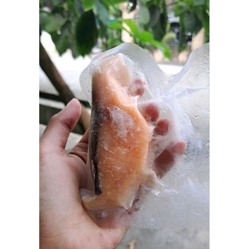 

salmon frozen 50g