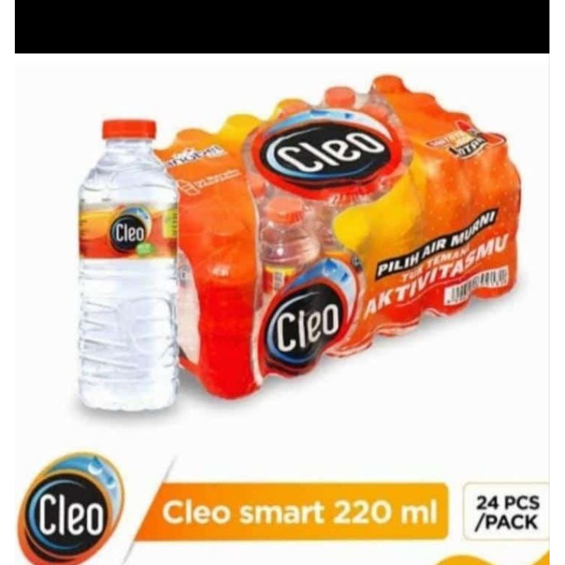 

CLEO MINERAL WATER 220ML