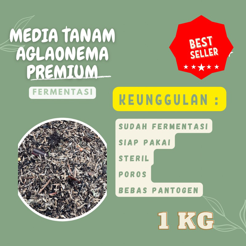 Media tanam Aglonema Super Premium Fermentasi/ metan / sekam / campuran / terbaik subur