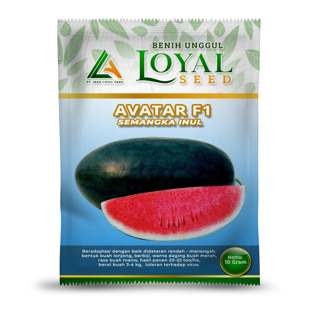 BENIH SEMANGKA INUL MERAH UNGGUL AVATAR 10 GRAM CAP LOYAL SEED