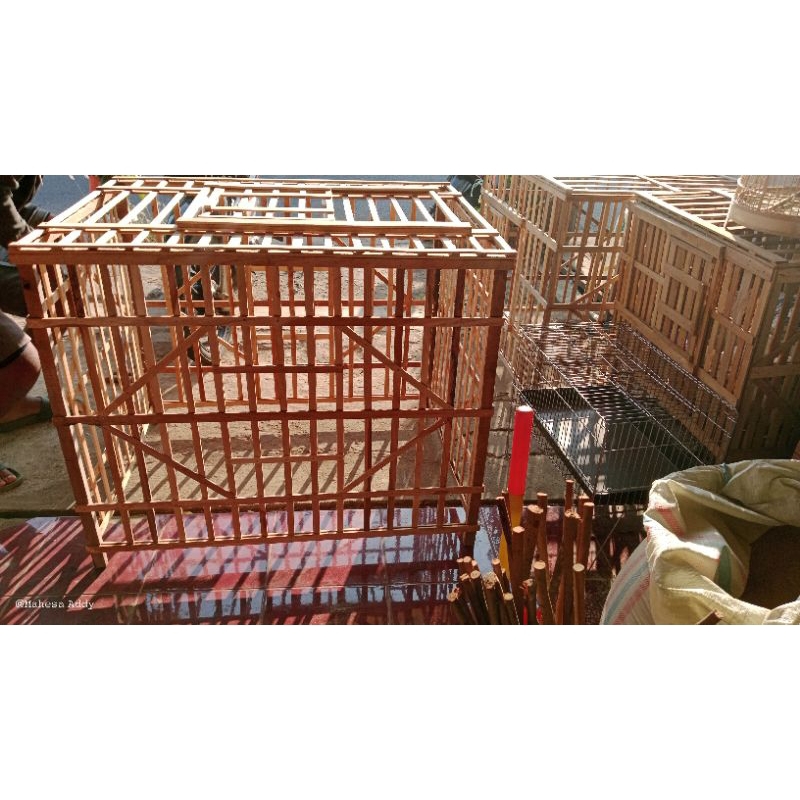 Tenggaran Ayam Jago Laga / Tenggaran Ayam Bangkok / Kandang Kurungan Kayu Jati / Custom Box Kandang 