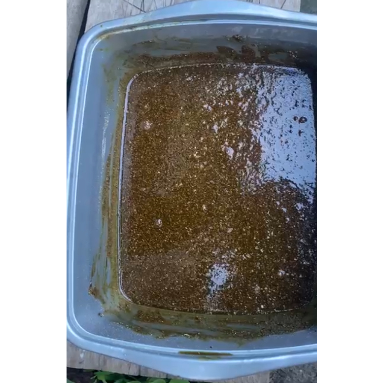 PUPUK CHLORELLA AIR HIJAU