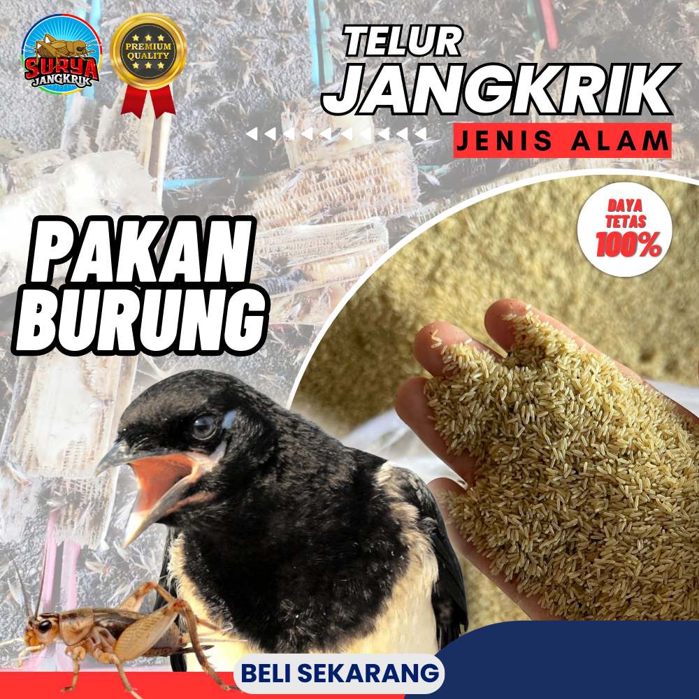 TELUR JANGKRIK MADIUN KUALITAS SUPER ALAM/ CLIRING