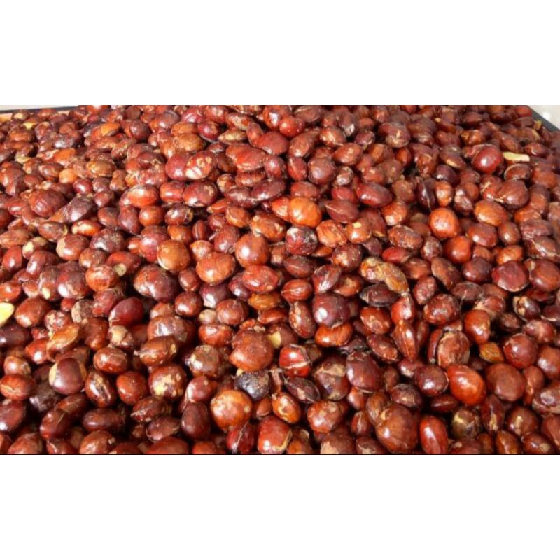 

JENGKOL SEDANG 1KG