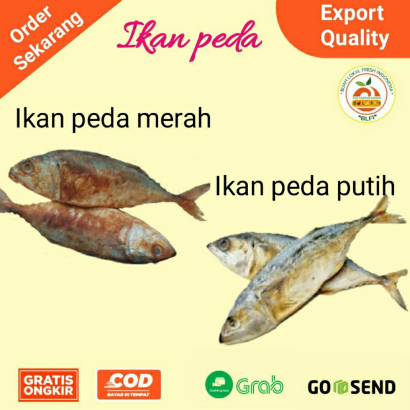 

IKAN PEDA MERAH DAN IKAN PEDA PUTIH SATU EKOR