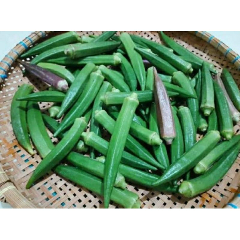 

Okra Hijau Muda Fresh/Okra Jei Theu 500 gr