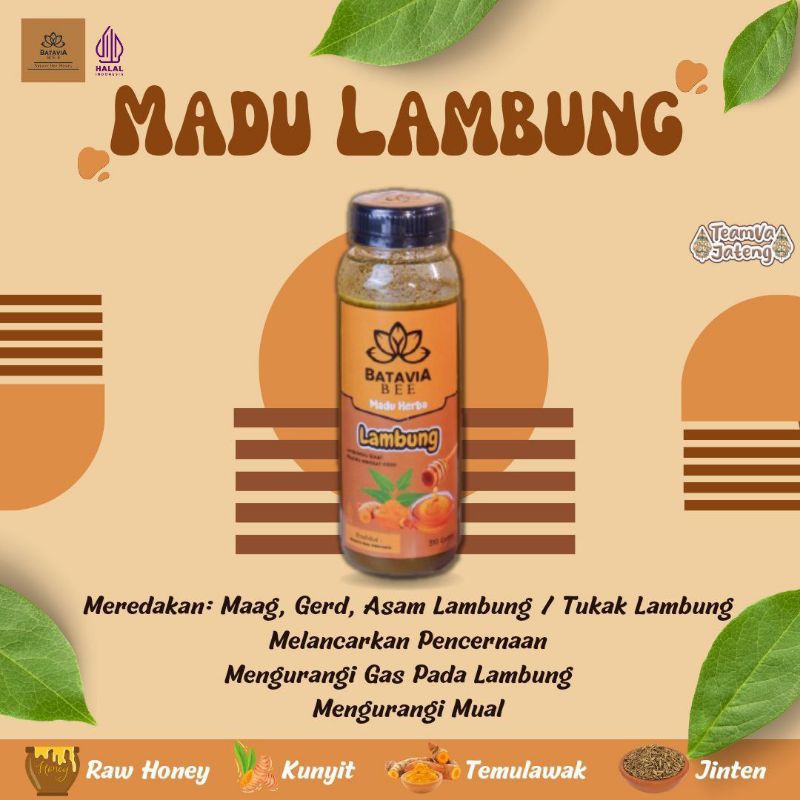 

madu lambung