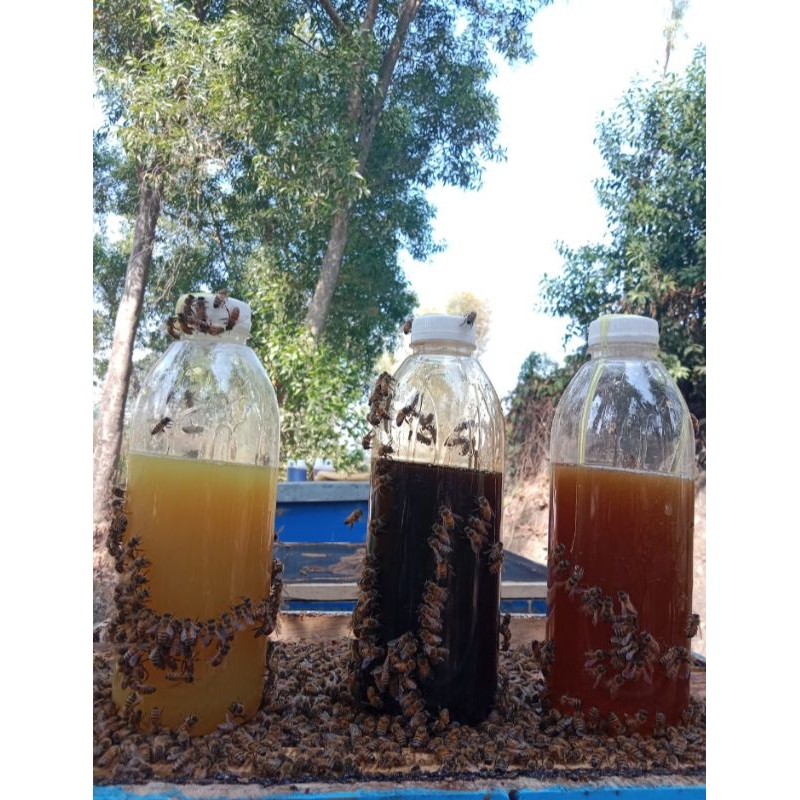 

[1kg]madu murni / madu asli full nektar bunga [COD]