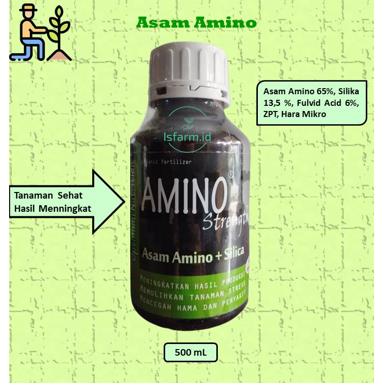 Asam Amino AMINO STRENGTH 500 ml Asam Amino + Silika