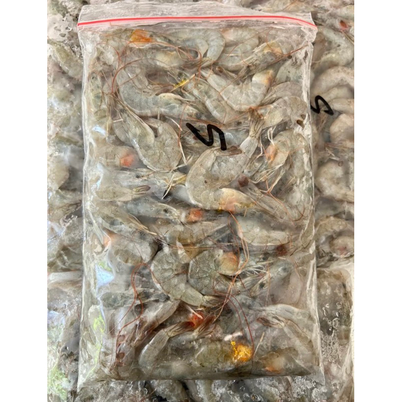 

Udang Frozen Utuh 500 Gram