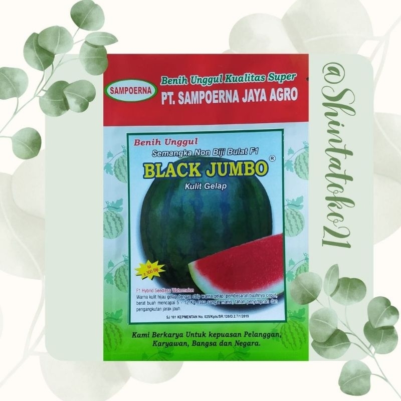 TERMURAH benih semangka non biji BLACK JUMBO *free hoodie setia pembelian 30 bungkus