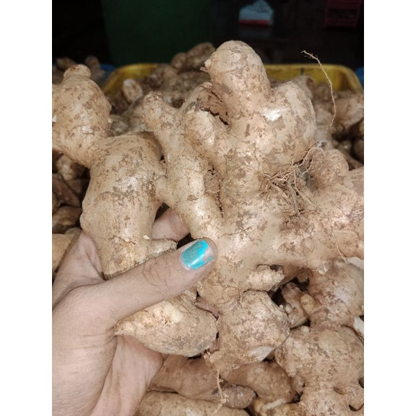 

INSTAN Jahe 1kg
