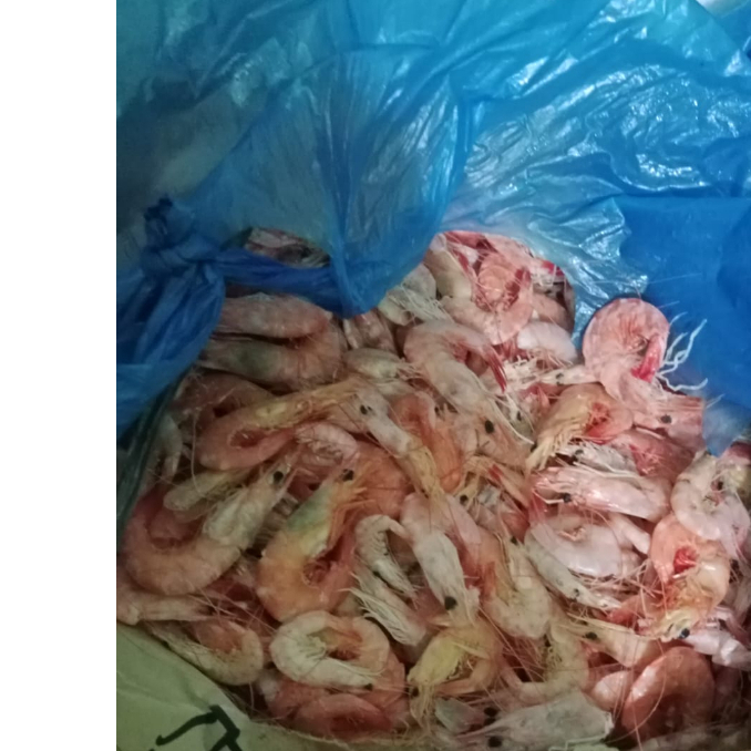 

Udang Manis Kering 250 Gram