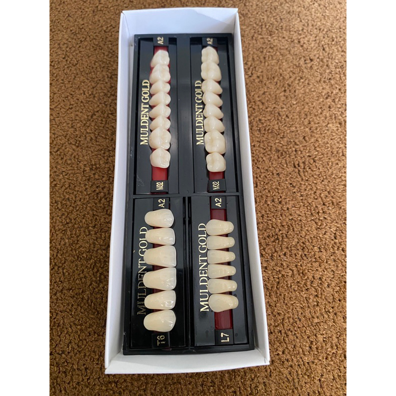 GIGI MULDENT GOLD FULLSET