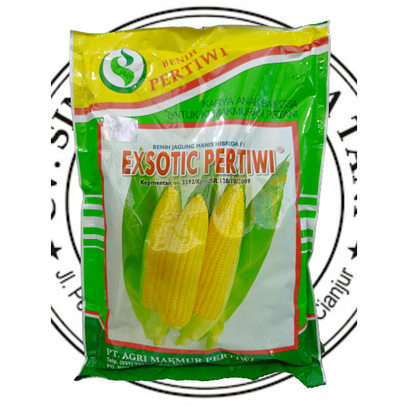 benih jagung manis hibrida exotic f1 -+1750 biji