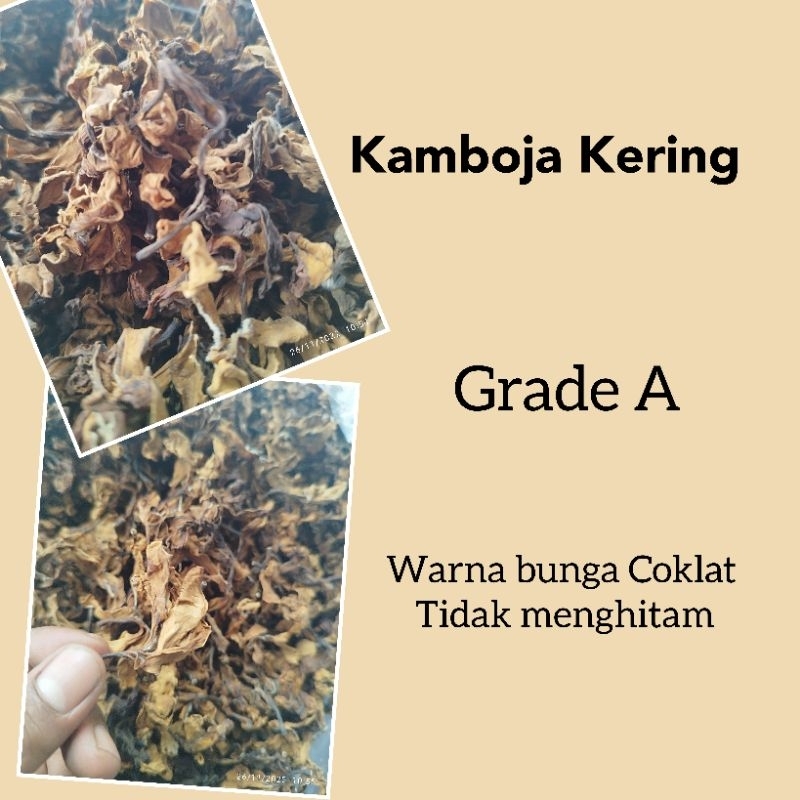 

kamboja kering / teh kamboja 100 gr