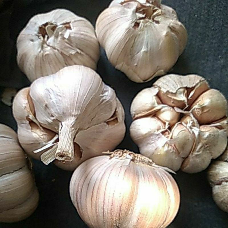 

bawang putih 500gram