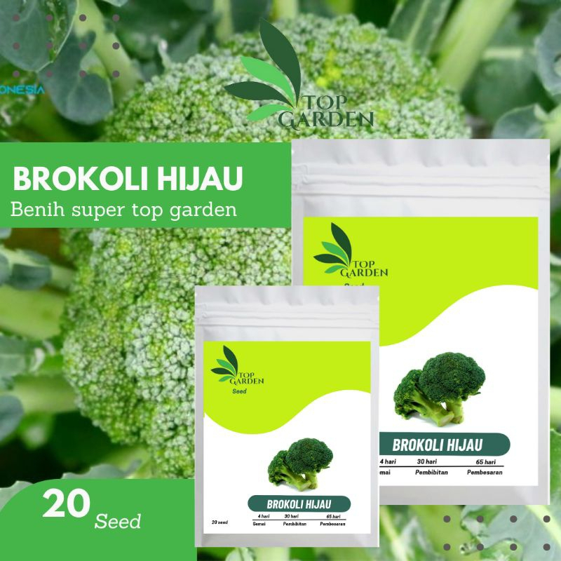TOP GARDEN BENIH SAYURAN BROKOLI HIJAU BIBIT BROKOLI