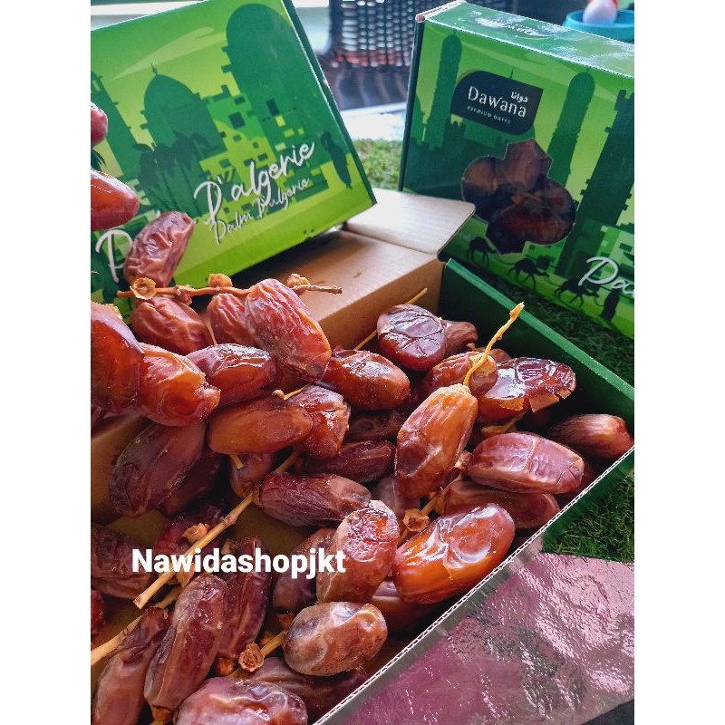 

Kurma Tunisia Tangkai Dawana Dus 12 x 500gr BPOM Grosir Distributor kurma jakarta seluruh indonesia