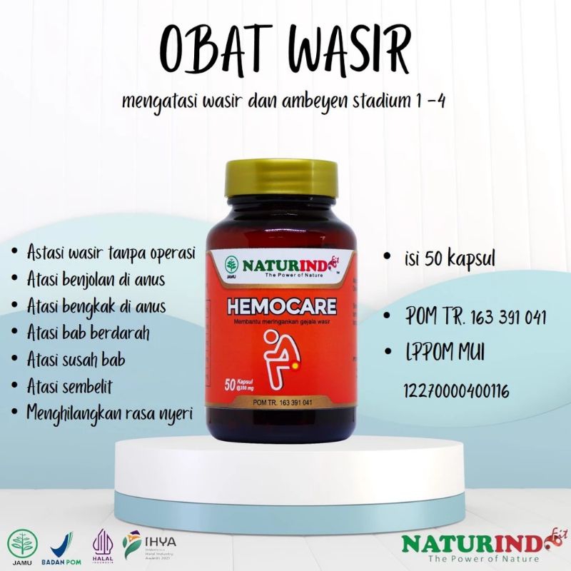 Obat Wasir Stadium 4  Benjolan Anus Bab Berdarah