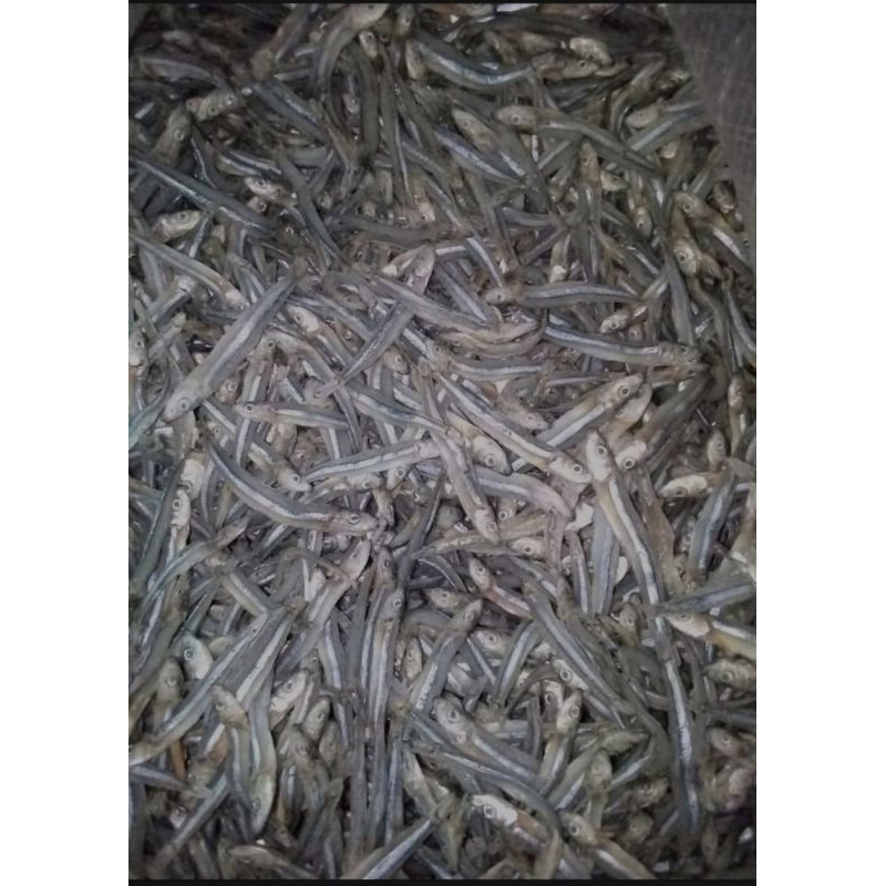 

Ikan Asin teri kering bagus/TERI SERET KERING ASIN/TERI HITAM ASIN FRESH KUALITAS SUPER kemasan 500gr, LANGSUNG DARI NELAYAN