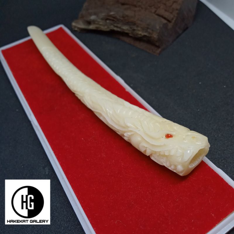 once pipa padutan tulang sapi ukir naga h41