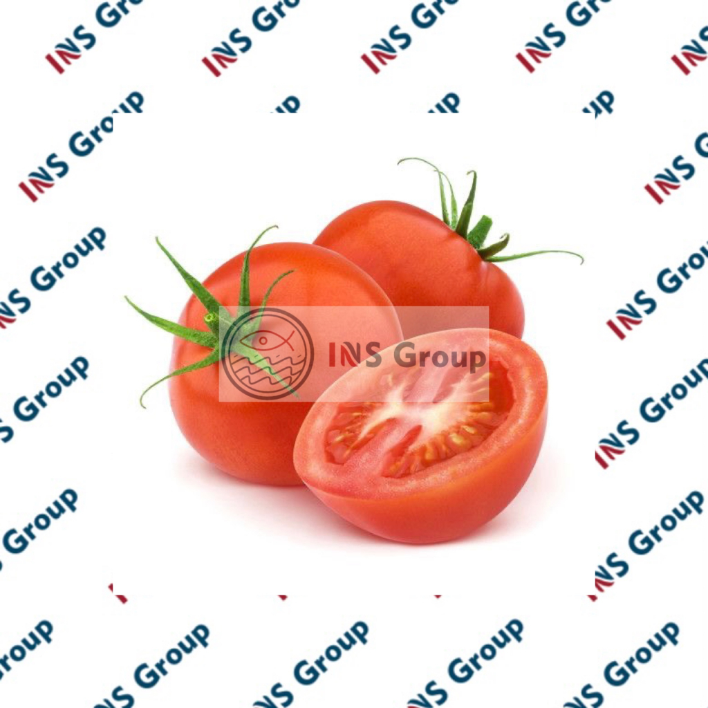 

Tomat Merah Segar 250gr / Sayur Sayuran / Buah Buahan Segar