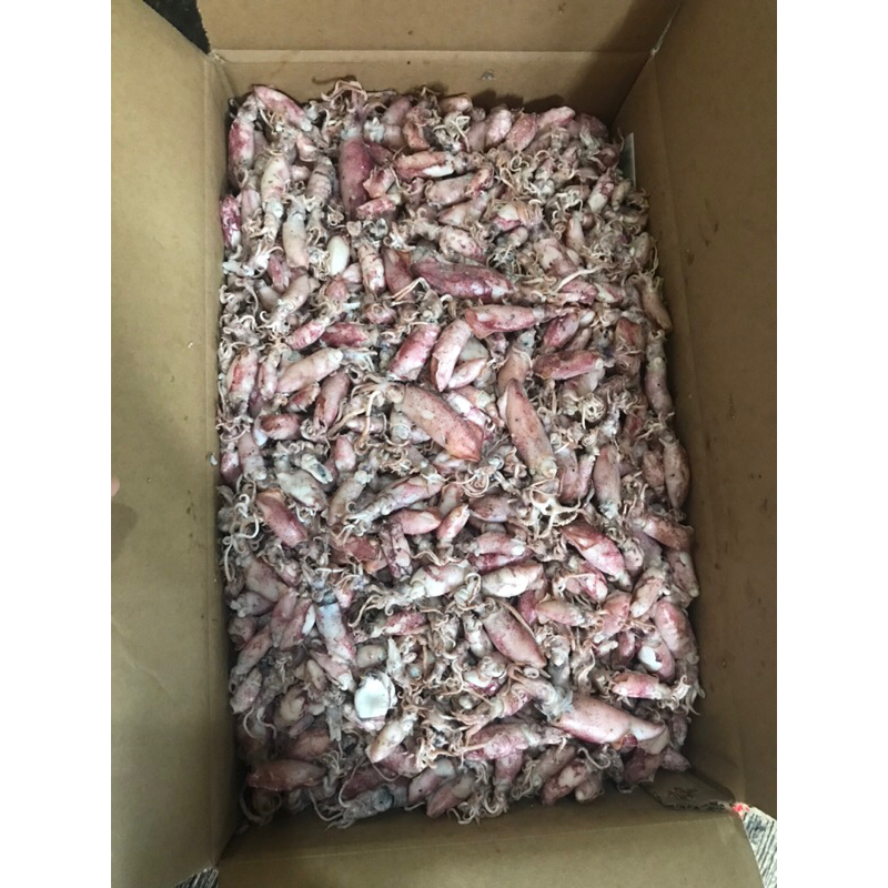 

CUMI ASIN/ CUMI REBUS 500gr