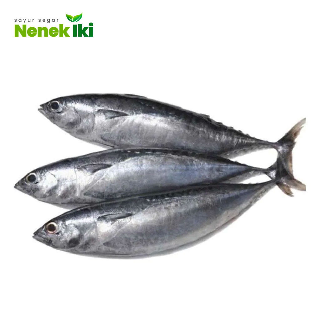 

Ikan Tongkol Segar 10 Potong - Ikan Segar Bogor