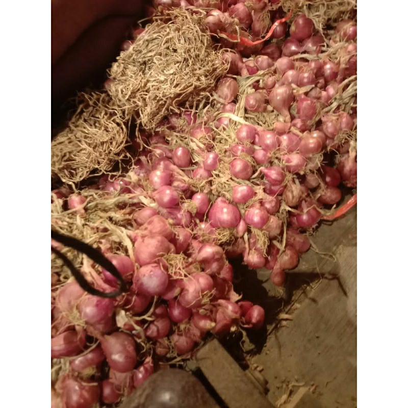 

bawang merah dan putih