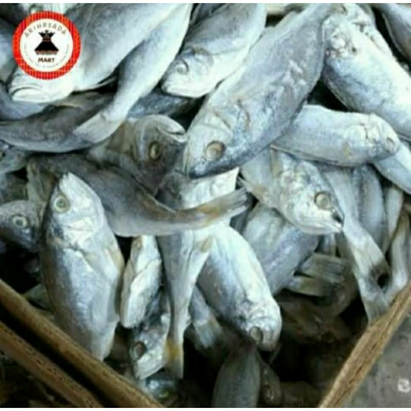 

IKAN KEPALA BATU MEDAN ASLI 1000gr