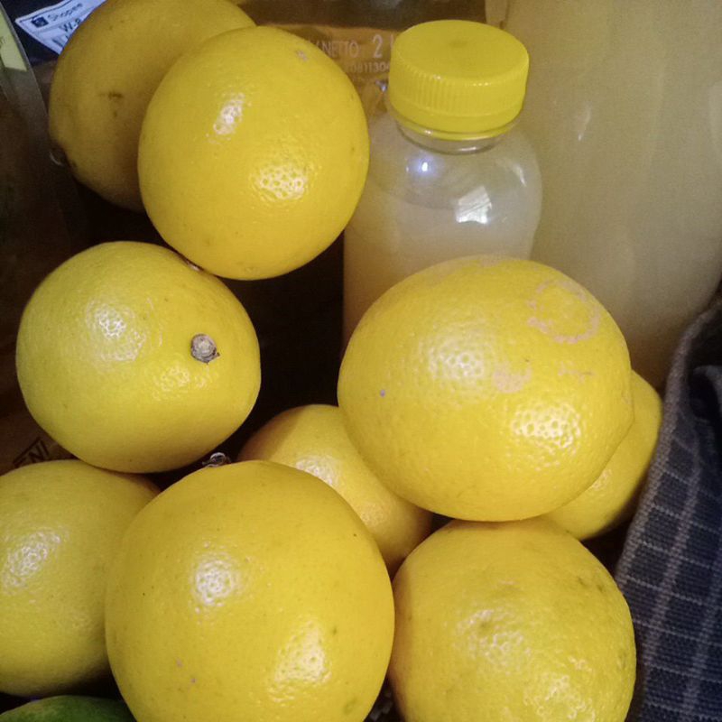 

LEMON CALIFORNIA GROSIR 5KG HALAL & PIRT