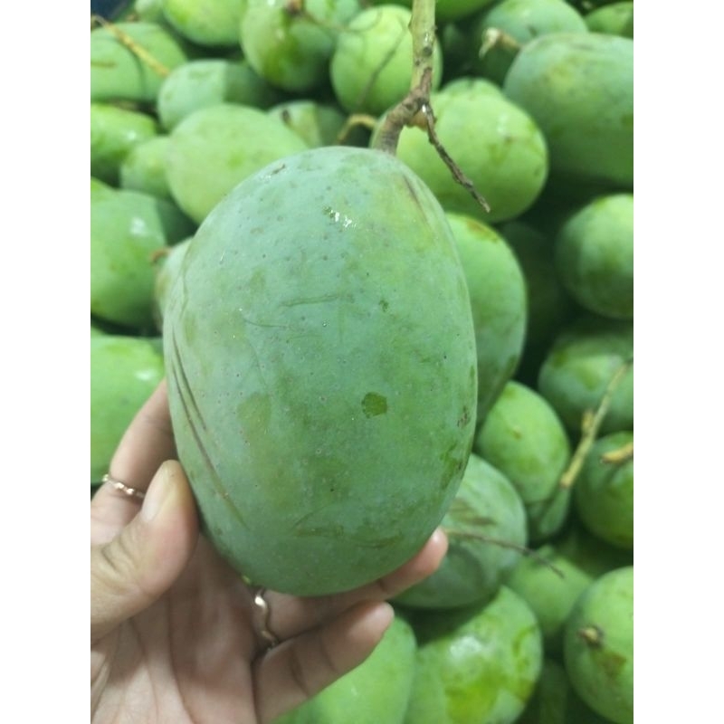 

buah mangga kweni|kweni cikampek|1kg|nuri fruits|buah segar bandung|buah bandung|buah kaweni|buah kaweni|mangga kaweni