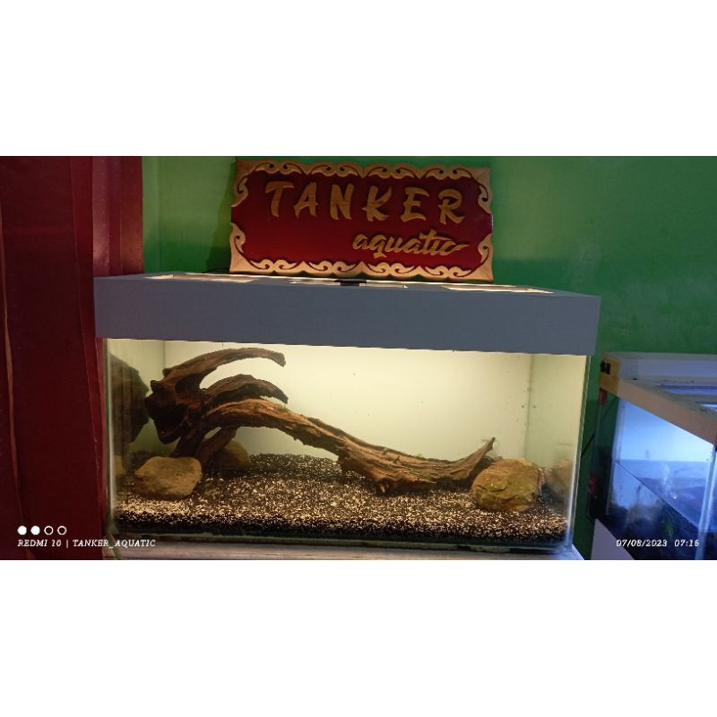 kayu rentek / kayu aquascape