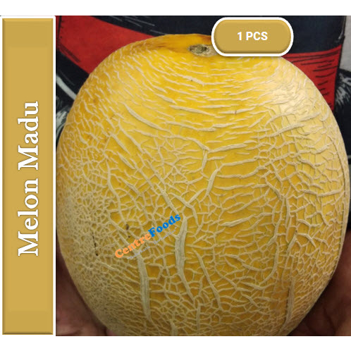 

Buah Melon Madu - Honey Melon Fresh | Size 1,5-2 Kg [ Harga Per PCS ]