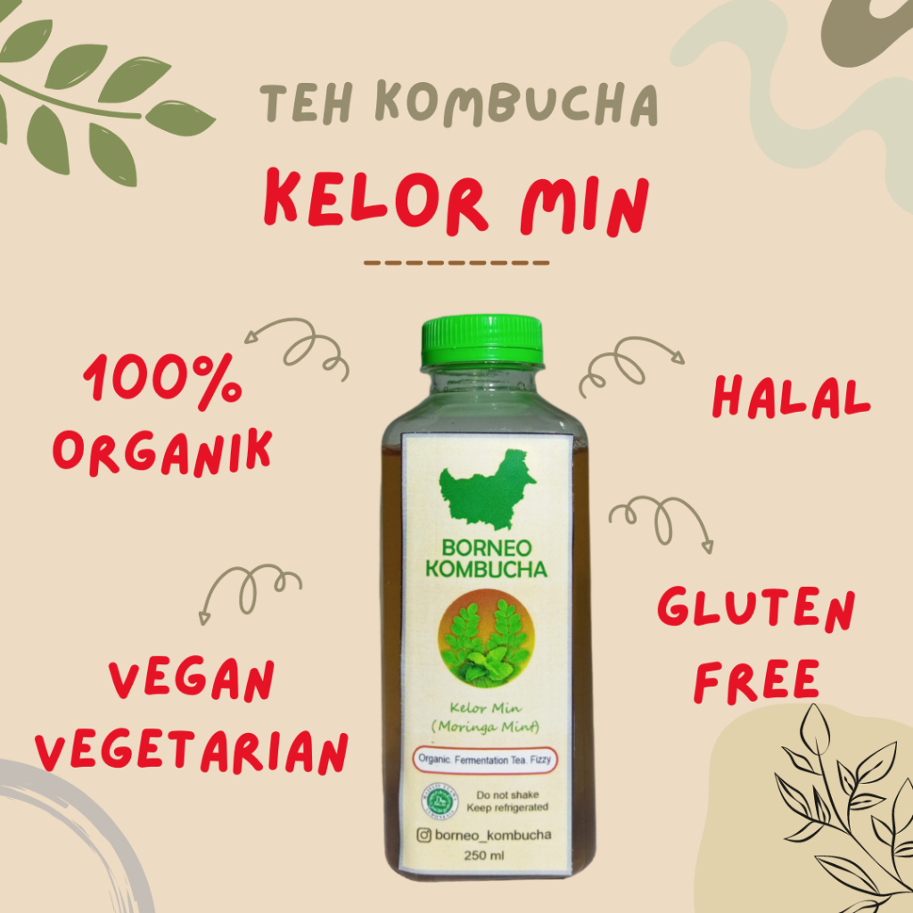 

BORNEO KOMBUCHA KELOR MIN TEH PROBIOTIK ORGANIK HALAL 250 mL