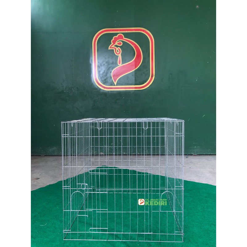Kurungan Ayam Jago • Tenggaran • Kandang Ayam