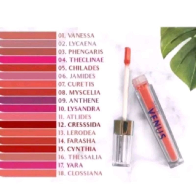 SOFT MATTE LIPCREAM VENUS RIJEK