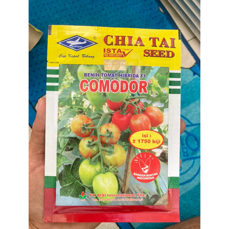 Benih Tomat Comodor f1