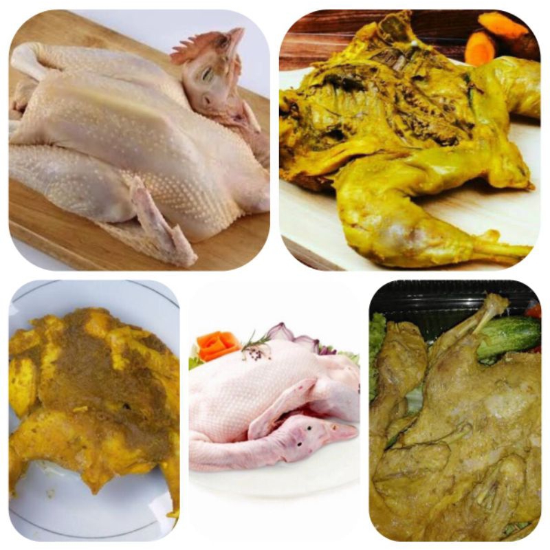 Daging Bebek Kampung Segar